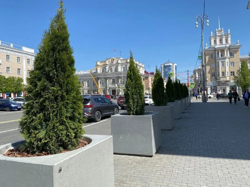 установили на площади в. снегурочка в туле на площади ленина 2022. соборная площадь ульяновск. богородск ёлка на площади. елка на дворцовой площади 2020.