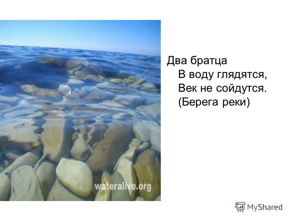 Два братца в воду глядятся в век не сойдутся. Два братца в воду. Загадка два братца в воду. Загадка 2 братца воду глядятся век не сойдутся. Братца воду глядятся век не сойдутся