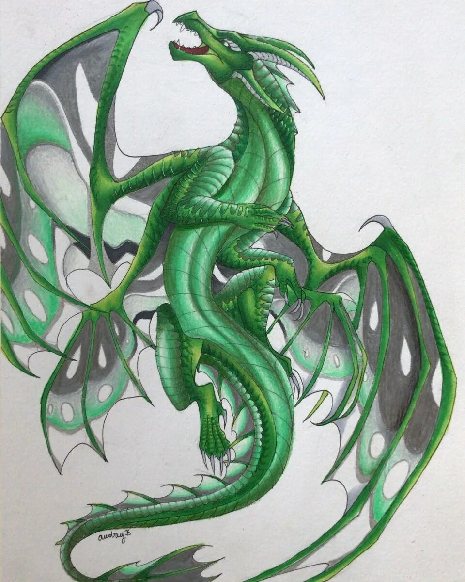 Рисунок зеленого деревянного дракона. Зеленый деревянный дракон. Зеленые драконы рисовать. Зелёный дракон нарисованный. Зелёная дракониха зарисовки.