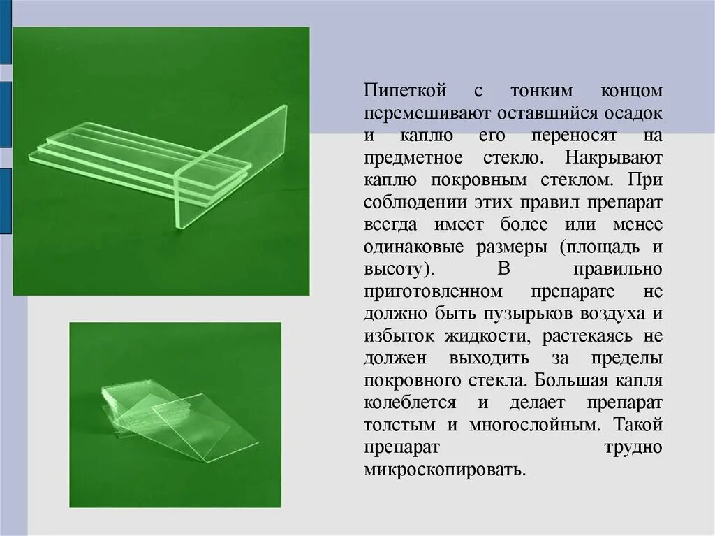 Для чего нужно предметное стекло. Стекло предметное. Предметные стекла в биологии. Предметные и покровные стекла. Предметные стекла используются для.