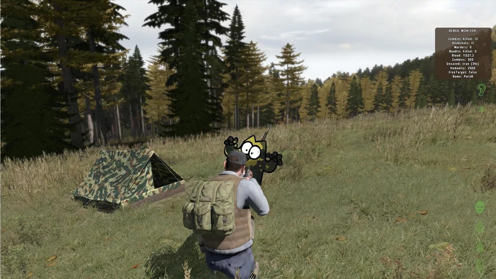 Арма 2 DAYZ. Дейз 2. Арма 2 дейз. Как играть в dayz