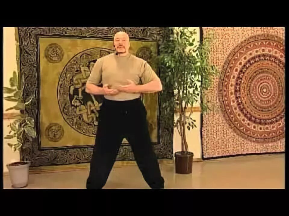 Цигун живота. Алекс анатоль цигун. алекс анатоль цигун для спины.
