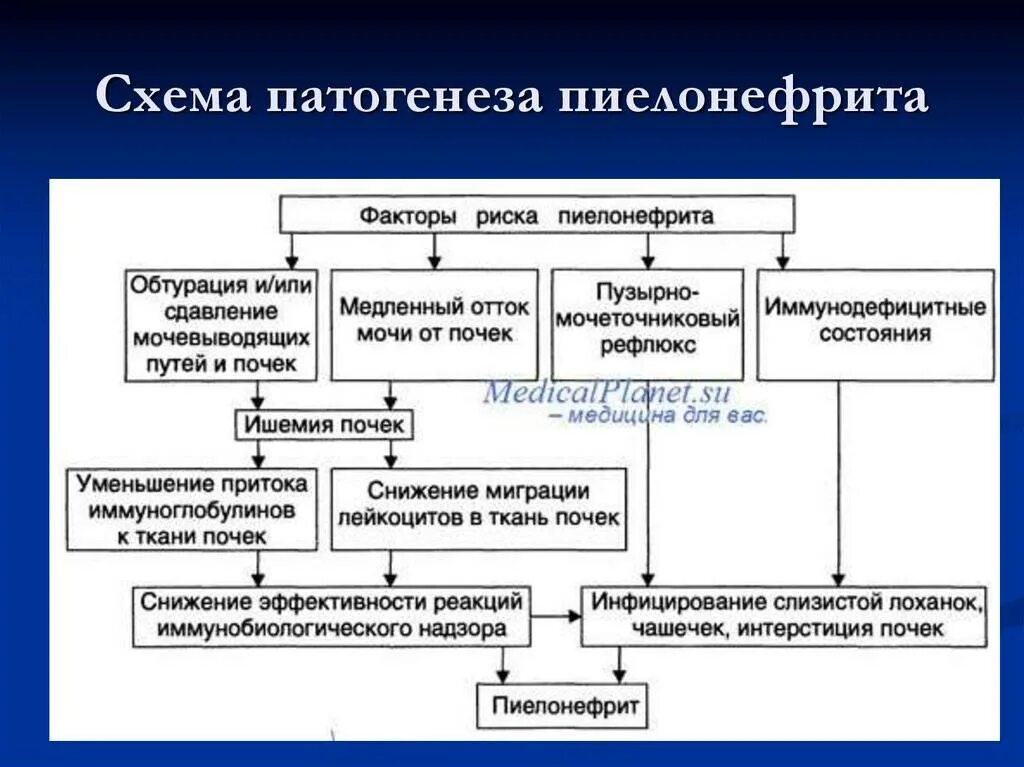 Уровни патогенеза