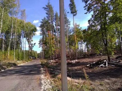 Равновесие лесная ул 26 село ямное отзывы
