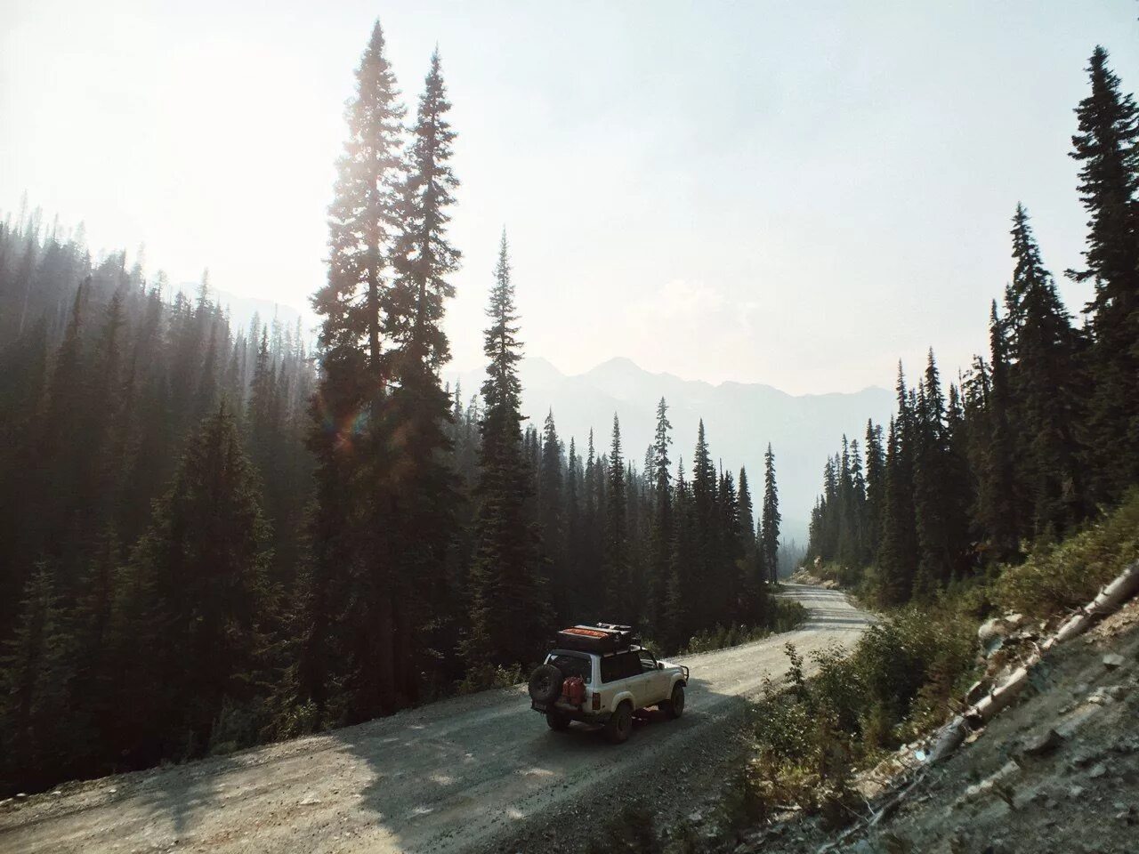Deep in the woods. Deep in the Woods photo car.