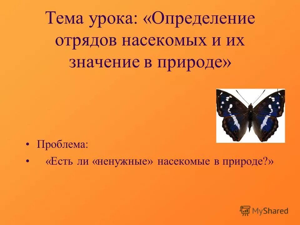 Презентация урока определение 8 класс. Отряд насекомые девиз.