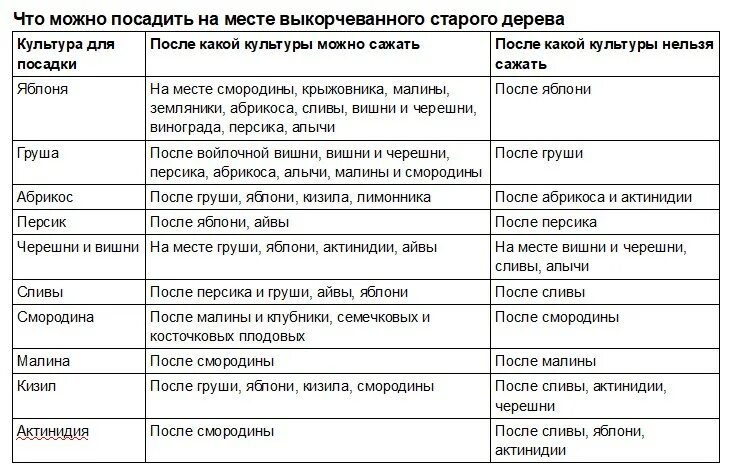 Что посадить после тыквы