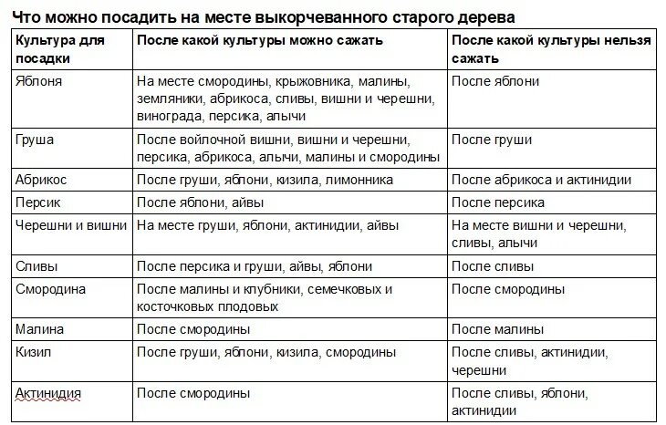 После перца можно сажать на следующий год. Что можно сажать после. Что можно сажать после клубники. Какие культуры сажать после каких. Что можно садить после свеклы.