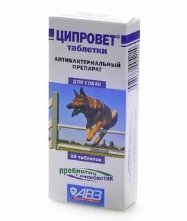 Какие лекарства можно давать собаке
