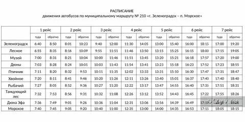 Автобус зеленоградск балтийск расписание