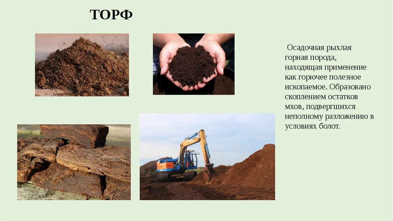 Где найти полезные ископаемые. Осадочные горные породы торф. природные ископаемые. полезные ископаемые торф. полезные ископаемые окружающий мир.