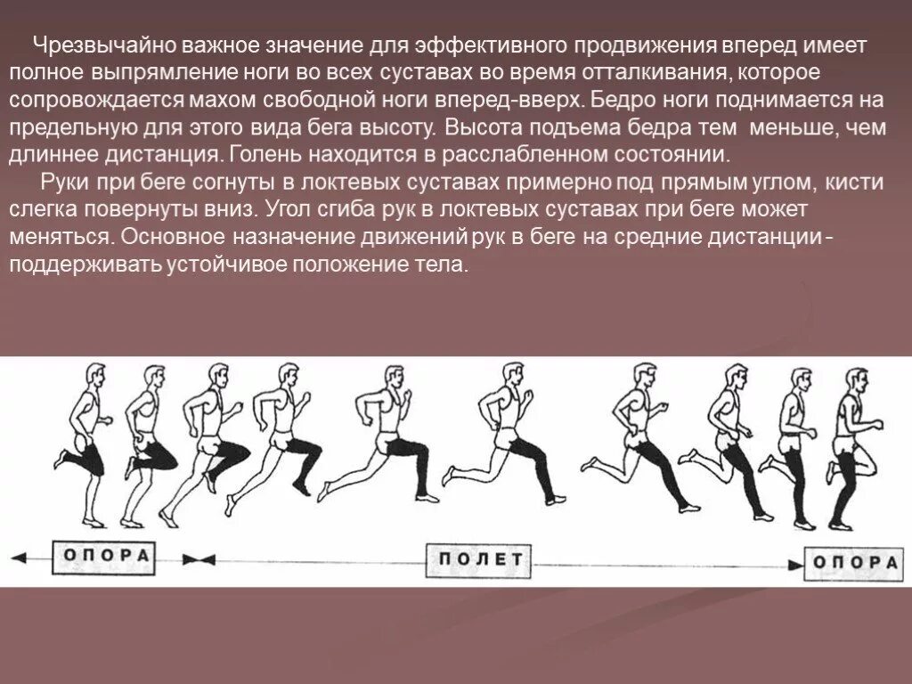 Положение рук во время бега. Правильная постановка стопы при беге на средние дистанции. Бег на длинные дистанции стопа. Движение рук при беге на средние дистанции. Движение техника бега на средние дистанции.