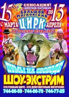 Цирк на вернадского афиша