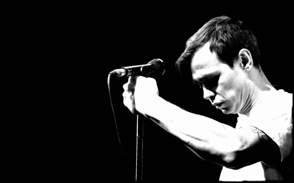 Дельфин музыкант слушать. Дельфин 2001. Дельфин андрей лысиков. Дельфин андрей лысиков 2022. Дельфин певец 2022.