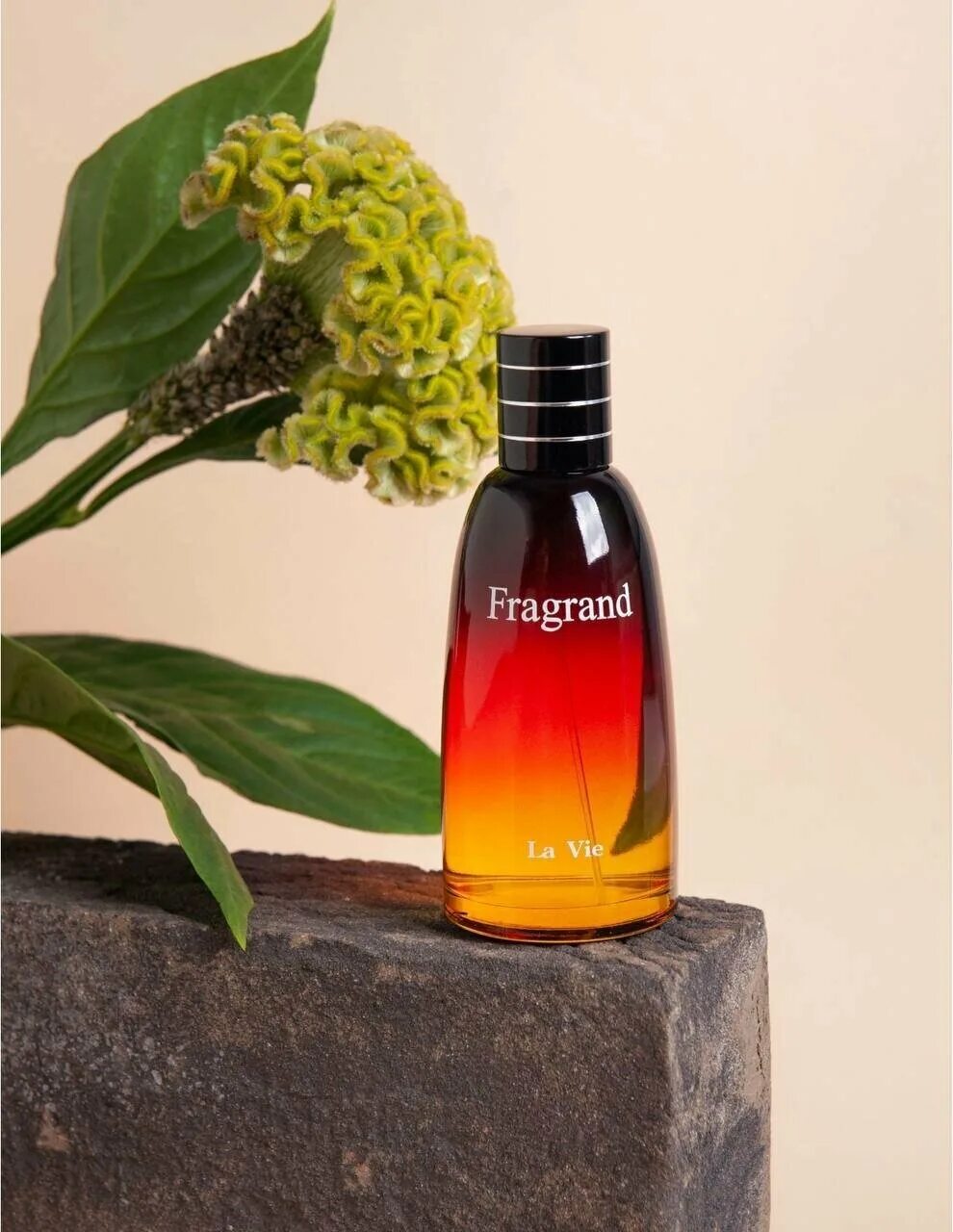 Dilis fragrand парфюмерная вода. Dilis fragrand парфюмерная вода. Парфюмерная вода для мужчин fragrand 100 мл/dilis/15/m. Dilis fragrand парфюмерная вода. Парфюмерная вода для мужчин fragrand 100 мл/dilis/15/m.