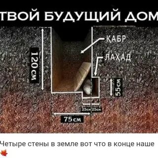 Через сколько лет подхоранивают