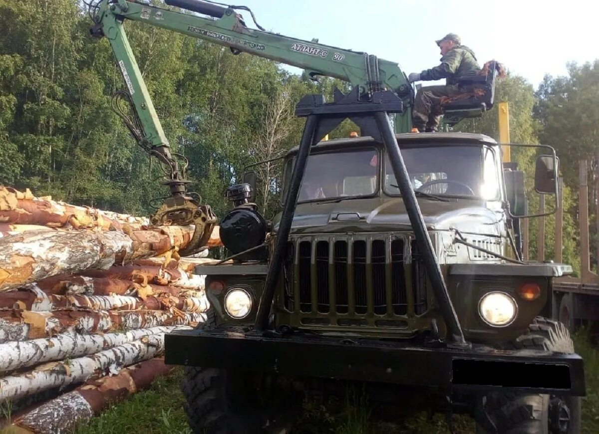 урал 4320 лесовоз сортиментовоз. урал 4320 лесовоз бежевый. урал 4320 лесовоз с гидроманипулятором. урал 4320 лесовоз с роспуском. урал 4320 лесовоз с манипулятором.