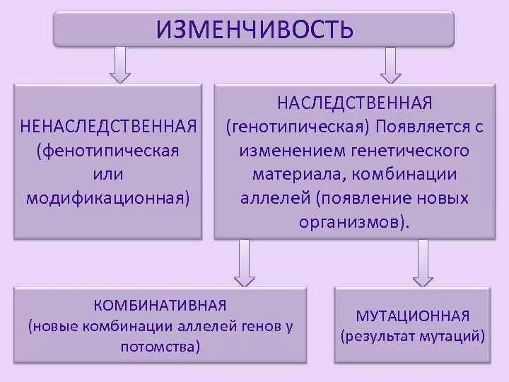Закономерности изменчивости конспект. Изменчивость наследственная и ненаследственная. закономерности изменчивости наследственная и ненаследственная. не наследственная изменчивость. модификационная изменчивость наследственная или ненаследственная.