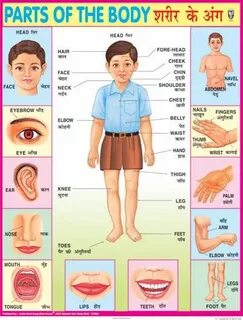 Name body