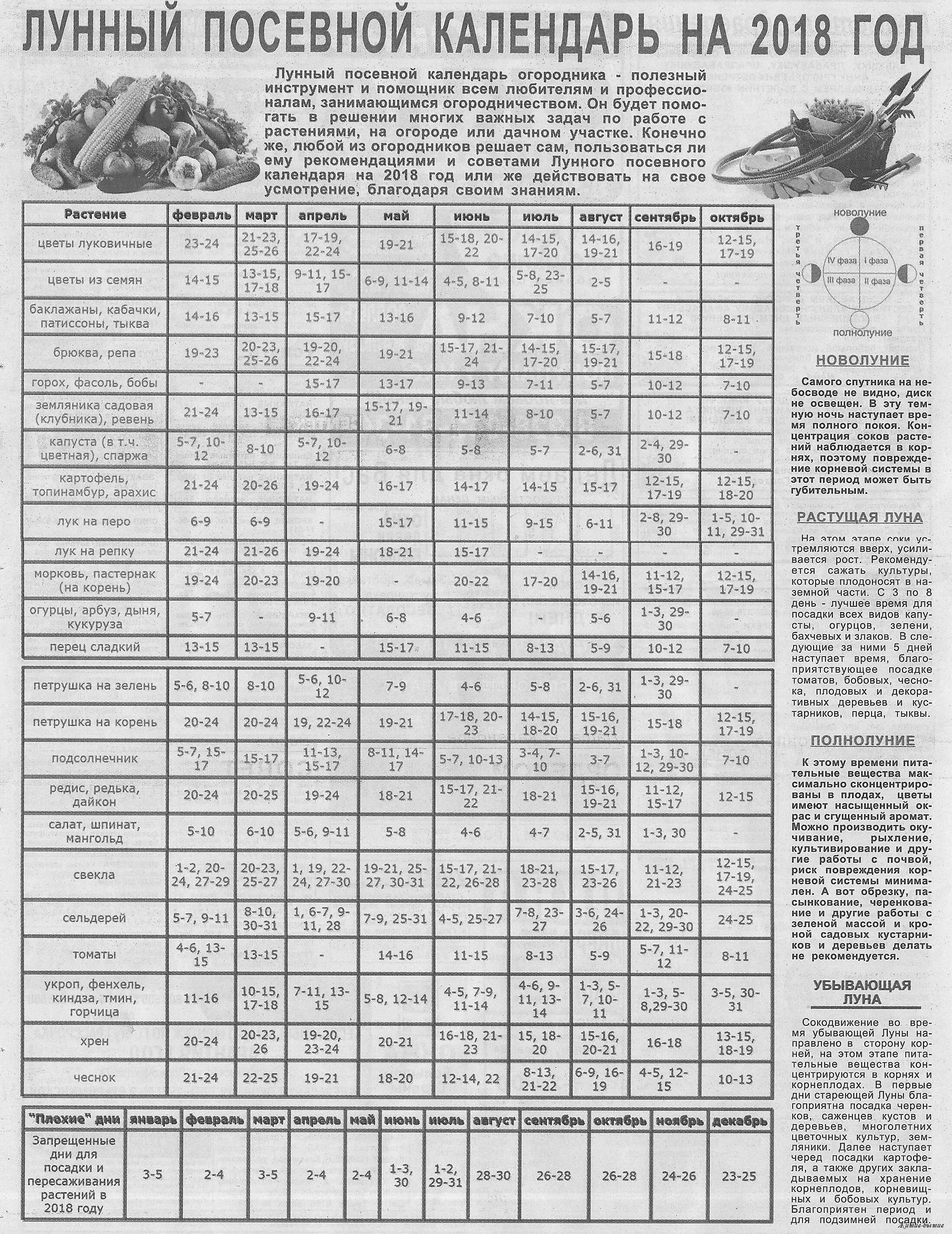 Лунный календарь запрещенные дни. Лунный посевной календарь на 2018 год. Запрещенные дни для посадки. Запрещенные дни для посадки в мае. Посевной календарь на апрель 2018.