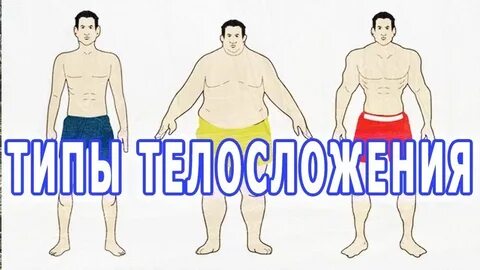 Эндоморфы это