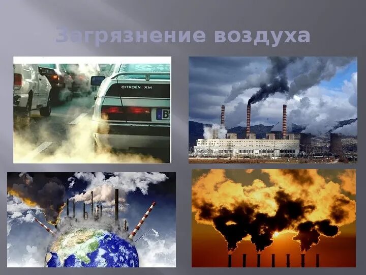 Картинки ЭКОЛОГИЯ ЭТО ЭКОНОМИКА ПРИРОДЫ