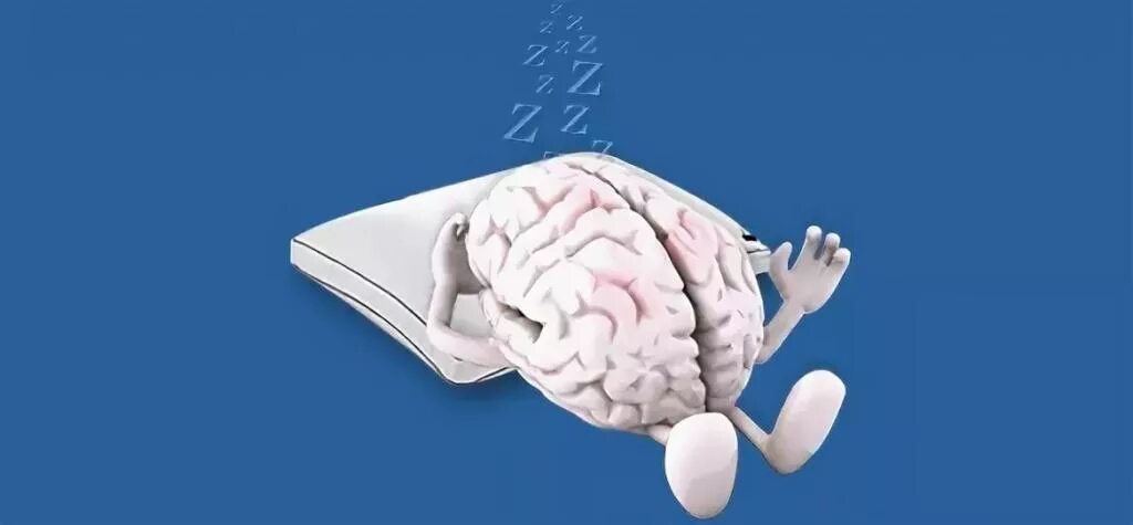 Sleeping brains. Мозг отдыхает. Расслабленный мозг.