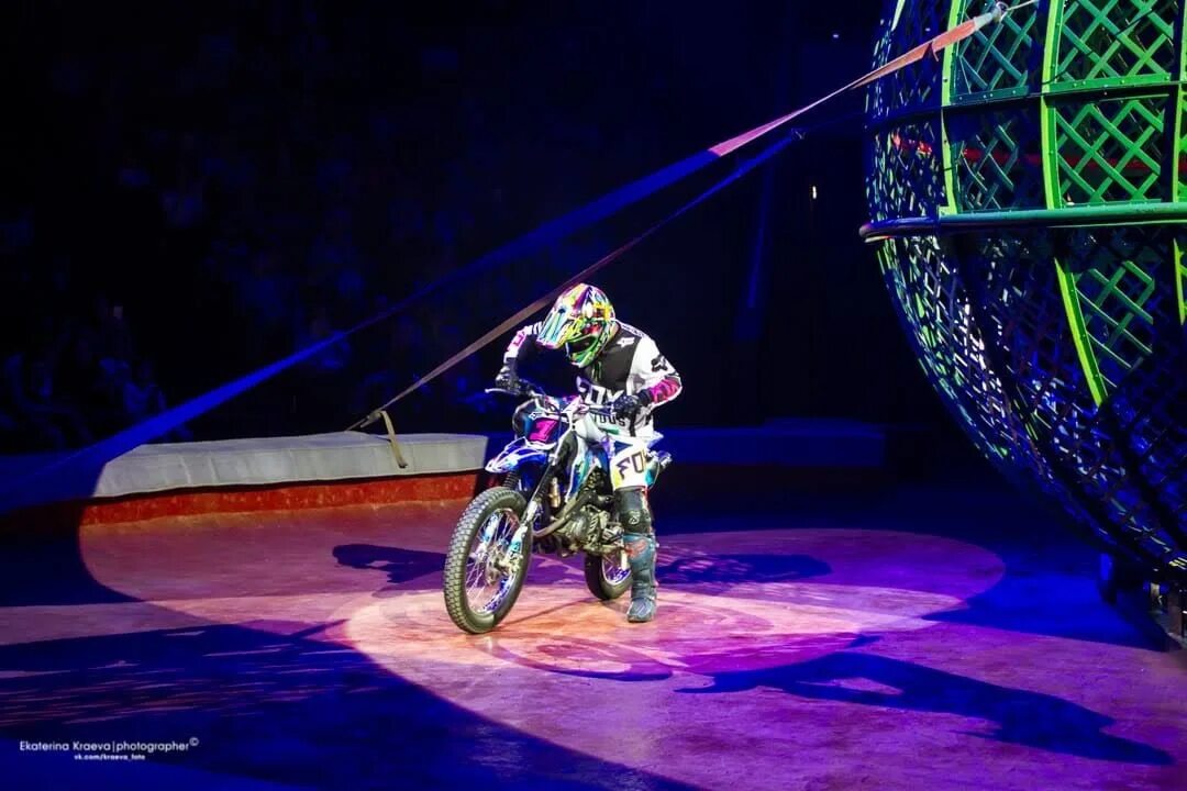 Программа цирка в казани. Ослик в цирке. Казанский цирк афиша. Цирк казань. Цирк.