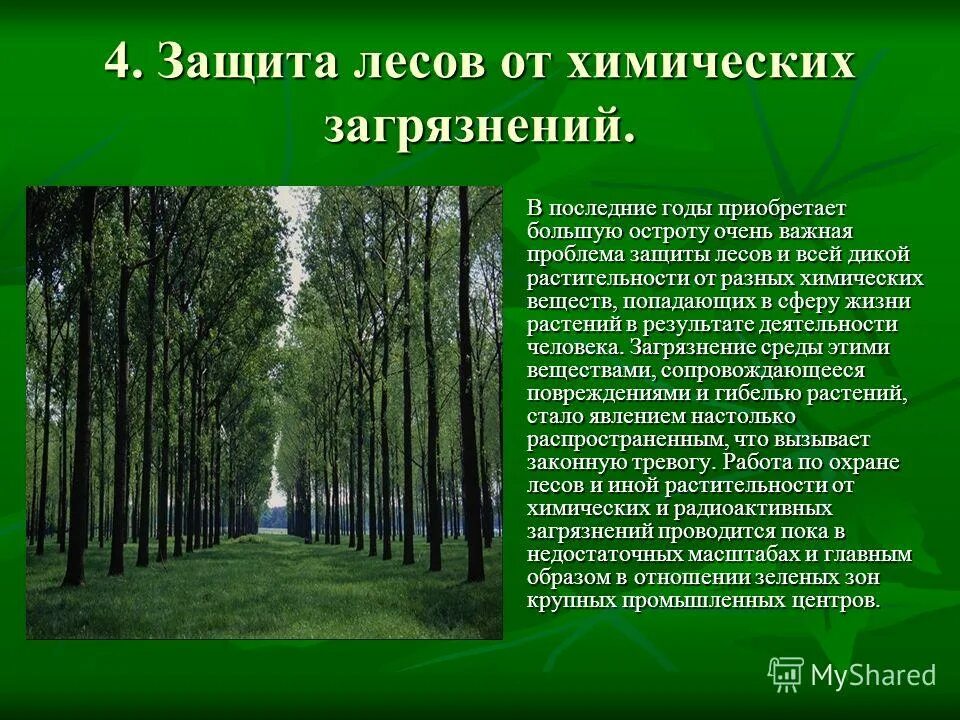 Причины сохранения лесов. Доклад на тему защита леса. Охрана леса 4 класс. Охрана леса 4 класс. Тема охрана леса.