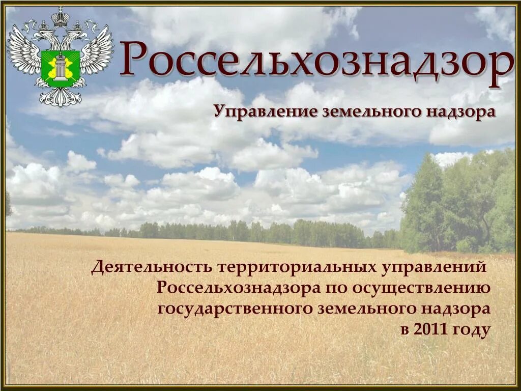 Земельный надзор Россельхознадзор. Отдел земельного надзора управления Россельхознадзора. Осуществление государственного земельного надзора. Россельхознадзор презентация.