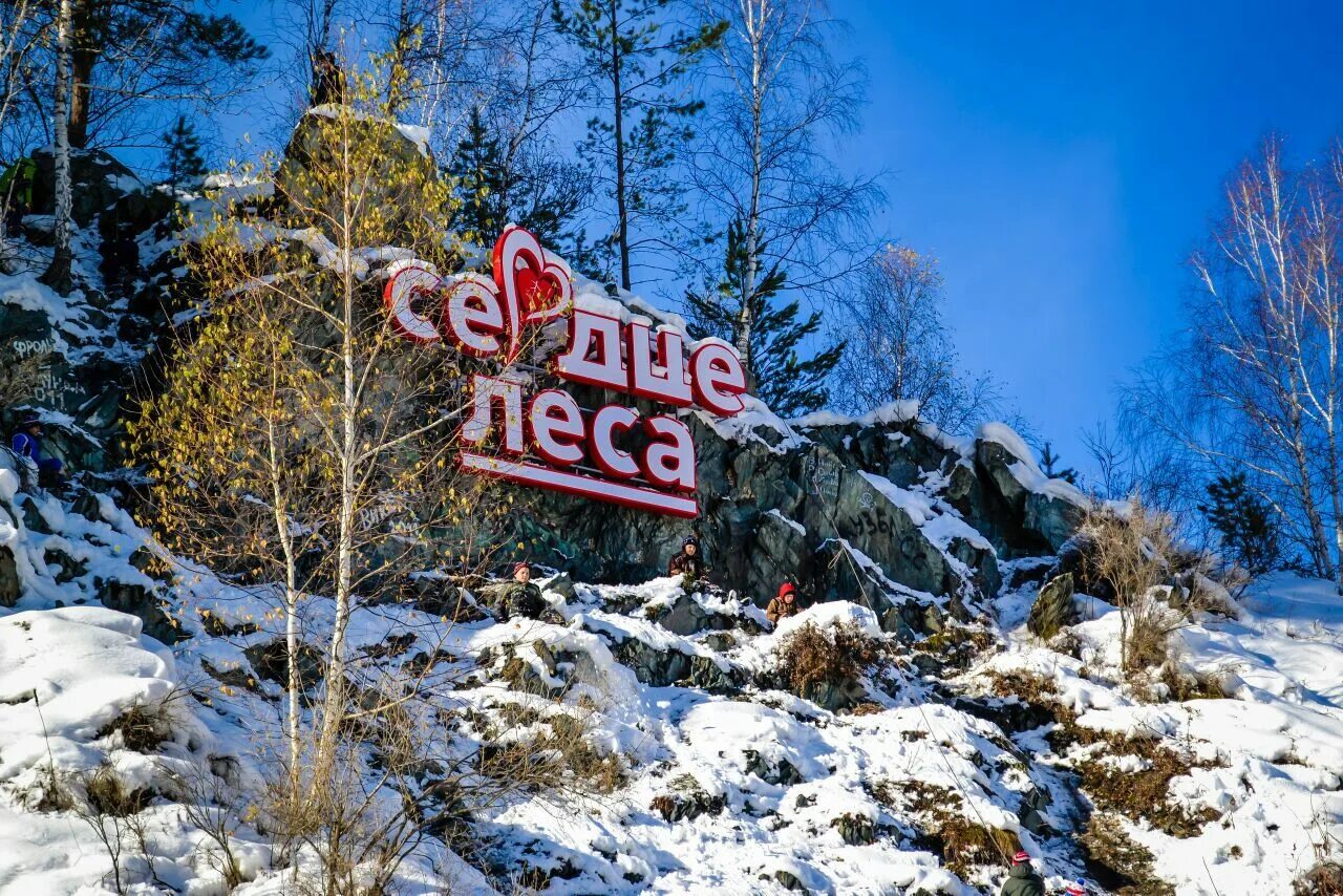Турбаза сердце алтая ая. Сердце леса туристическая база. Село алтайское сердце леса. Село алтайское сердце леса. Сердце леса село алтайское.