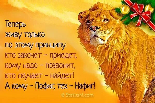 Живу по принципу статусы. Живу по принципу кто захочет. Теперь живу по принципу кому надо позвонит. Теперь живу по принципу. Теперь живу по принципу кому надо позвонит кто.