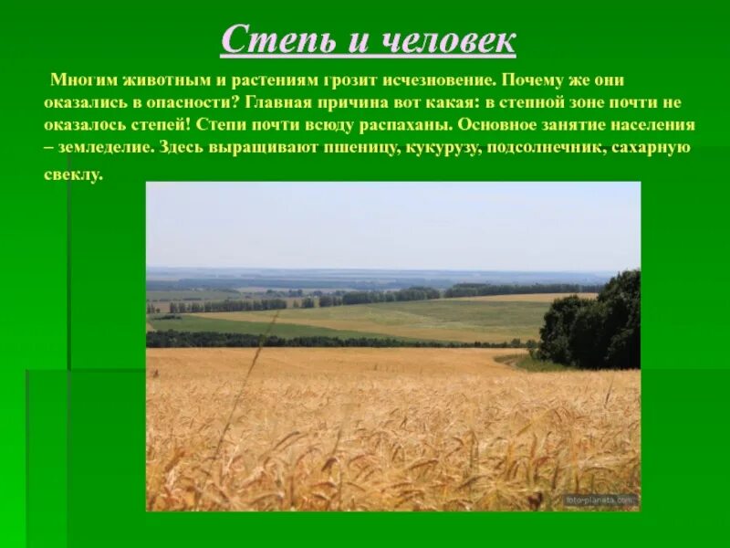 Лесостепь россии урок. Степи и человек. Степь презентация. Презентация степи и человек. Занятия людей в степи.