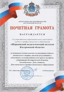Почетная грамота департамента