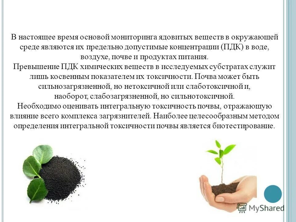 Токсичность почв определение. Токсичность почв определение
