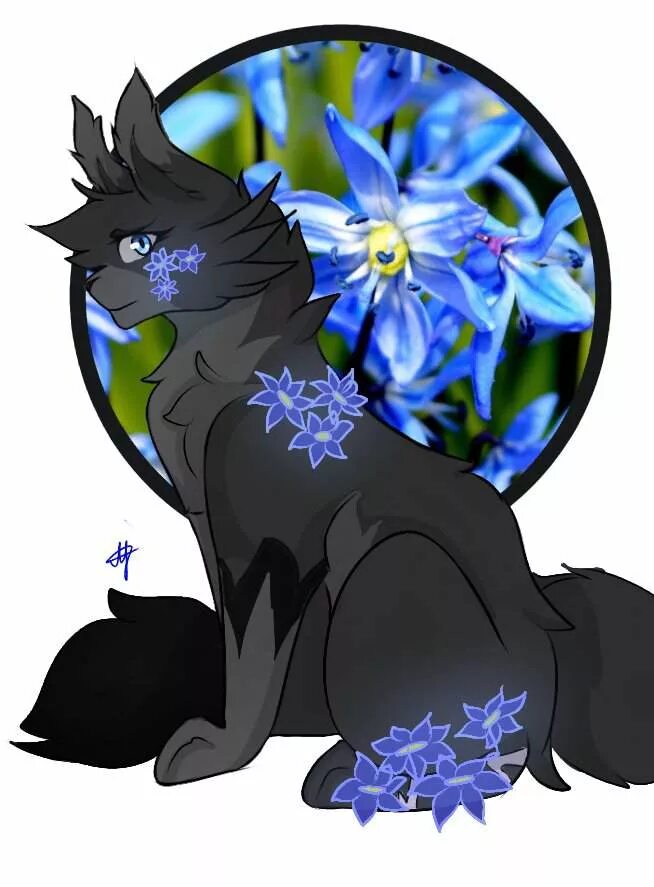 коты воители цветы. коты воители цветы. коты воители цветы. коты воители целители. коты воители цветы.