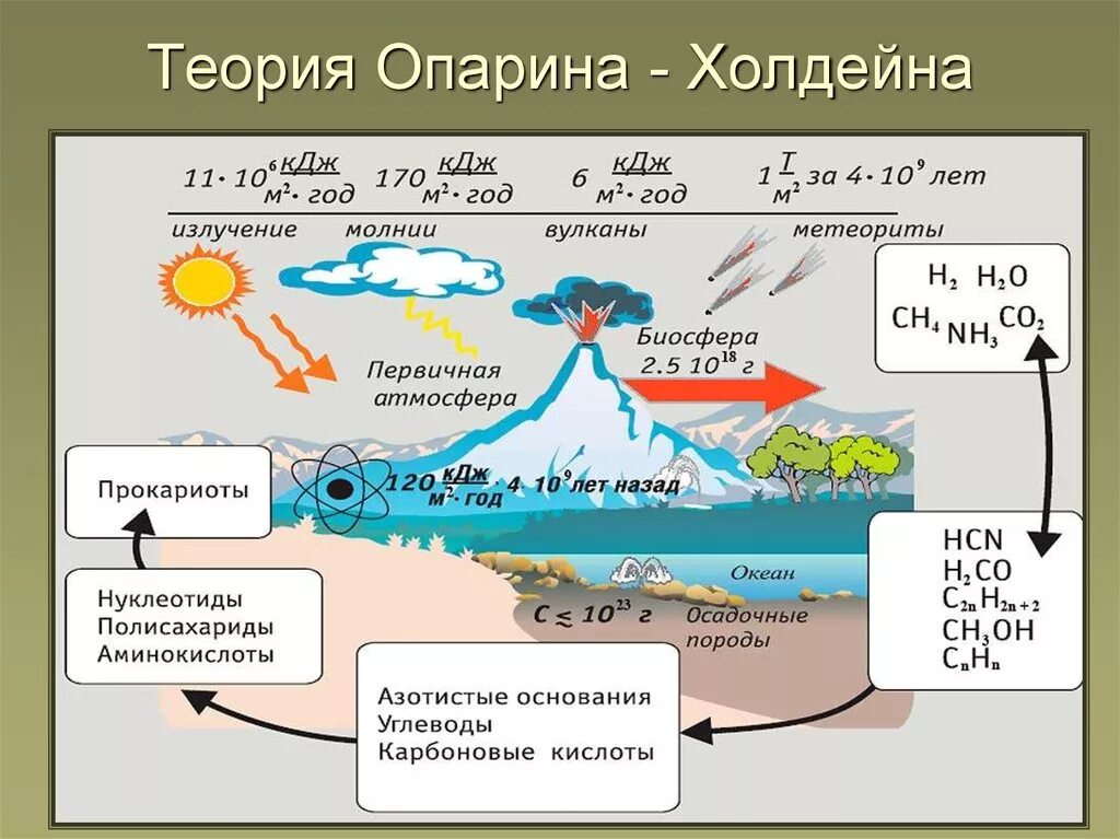 Биохимическая теория возникновения