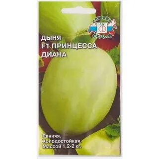 Дыня принцесса