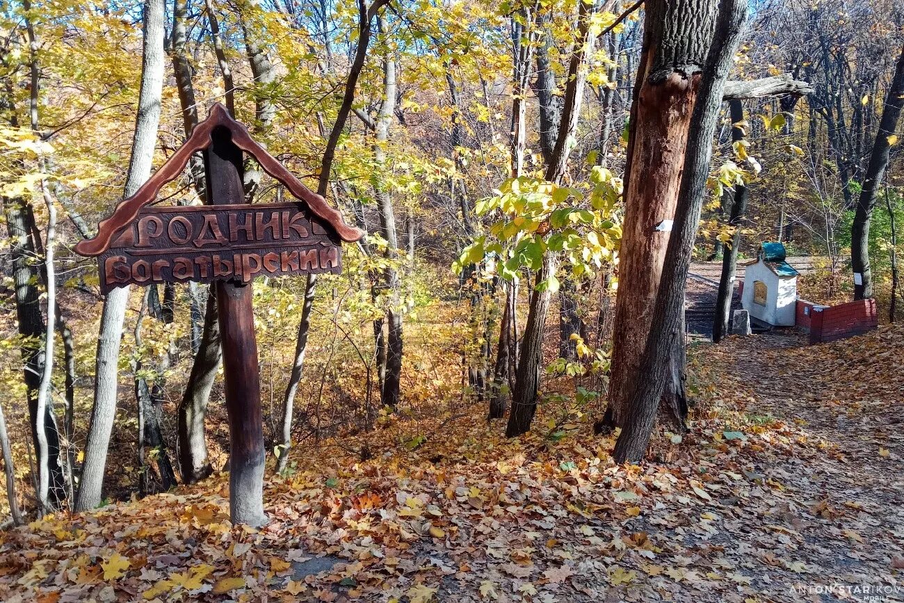 Саратовский родник. Природный парк Кумысная Поляна Саратов. Родники Кумысной Поляны Саратов. Лесопарк Кумысная Поляна Саратов. Кумысная Поляна Богатырский Родник.