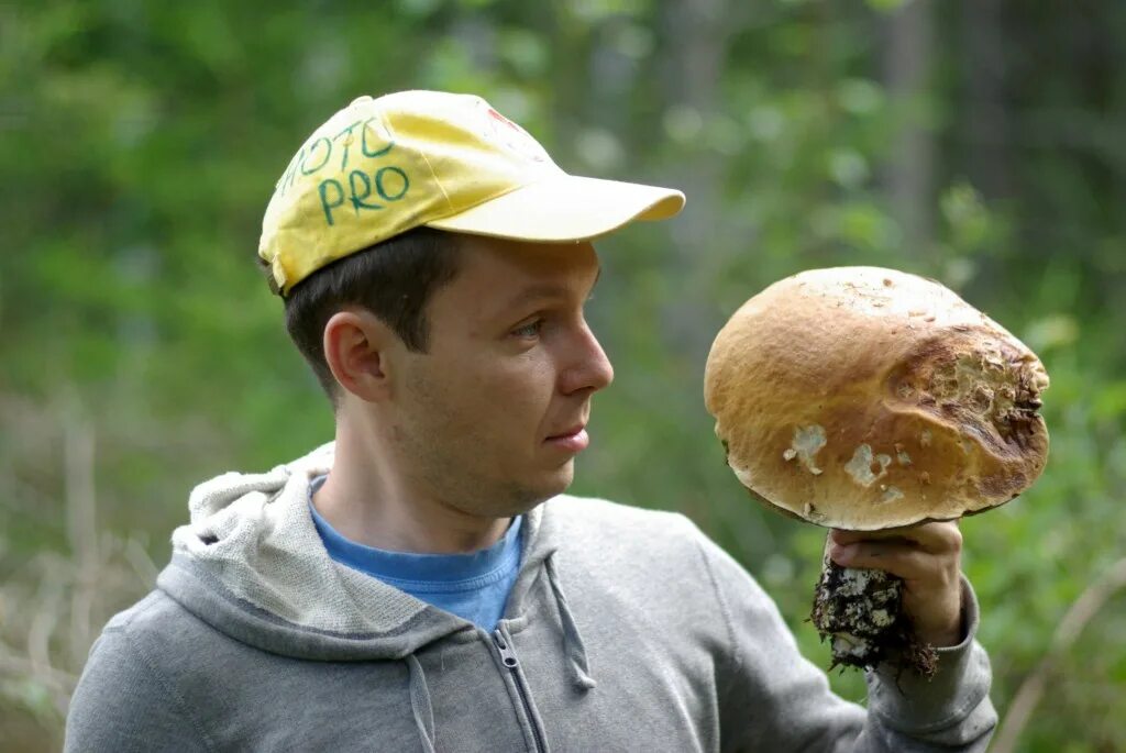 Язык грибников. Язык грибников. Корзина с боровиками. Язык грибников. Грибники.