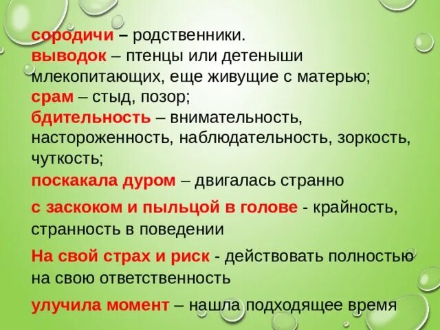 С заскоком и пыльцой в голове значение. Значение слова сородичи. что обозначает слово выводок. значение слова срам. выводка текста.