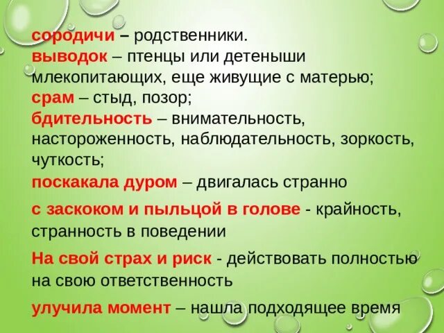 Почему выводки не было птенцов рассказ выскочка. Значение слова сородичи. Бдительность – внимательность, зоркость, чуткость. Выводок птенцы или Детёныши млекопитающих. С заскоком и пыльцой в голове что значит.