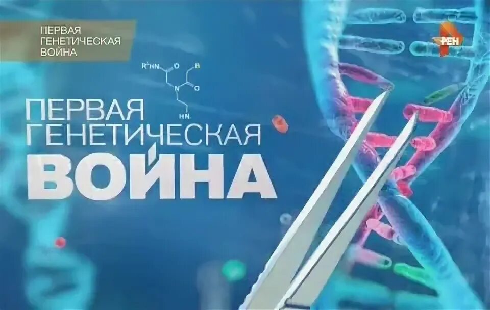 Генетика 1 вариант. Полиморфизм генов. Фундаментальная генетика. Наследственные болезни днк. Тесты по генетике для студентов мед колледжей.