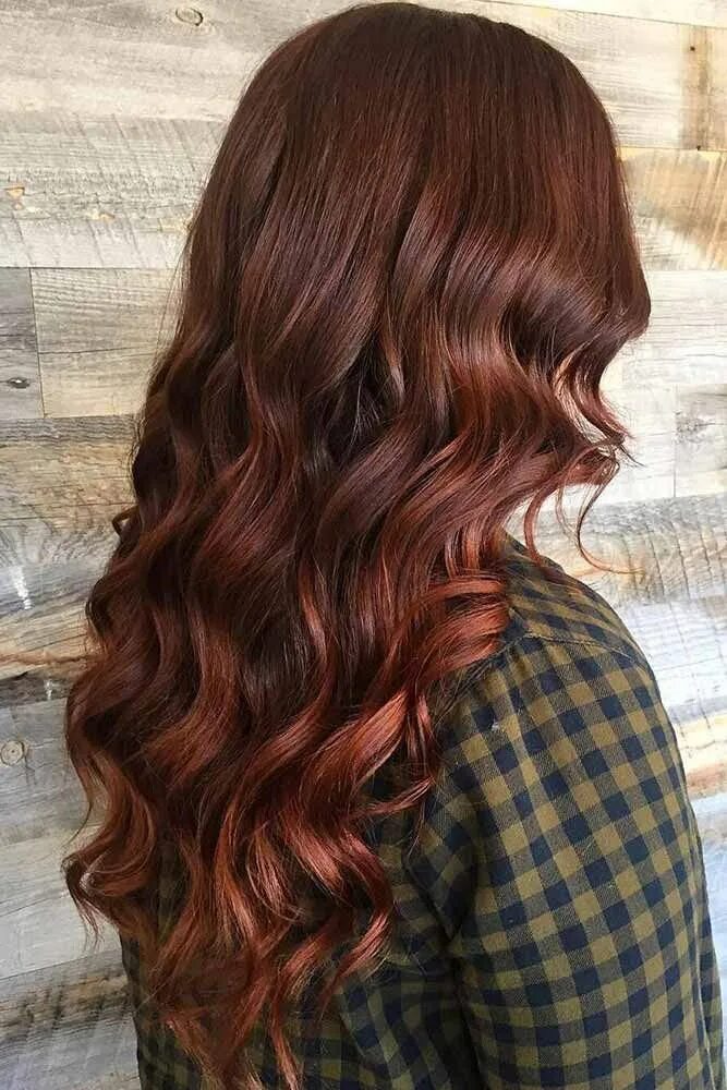 Как покрасить каштановые волосы. Dark Auburn цвет волос. Light Auburn цвет волос. Каштановый цвет с красным оттенком. Каштановые волосы с красным оттенком.