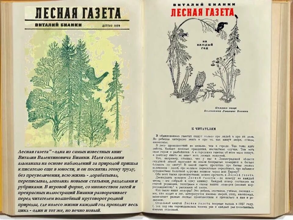 Бианки Лесная газета иллюстрации к книге. Месяца лесной газеты