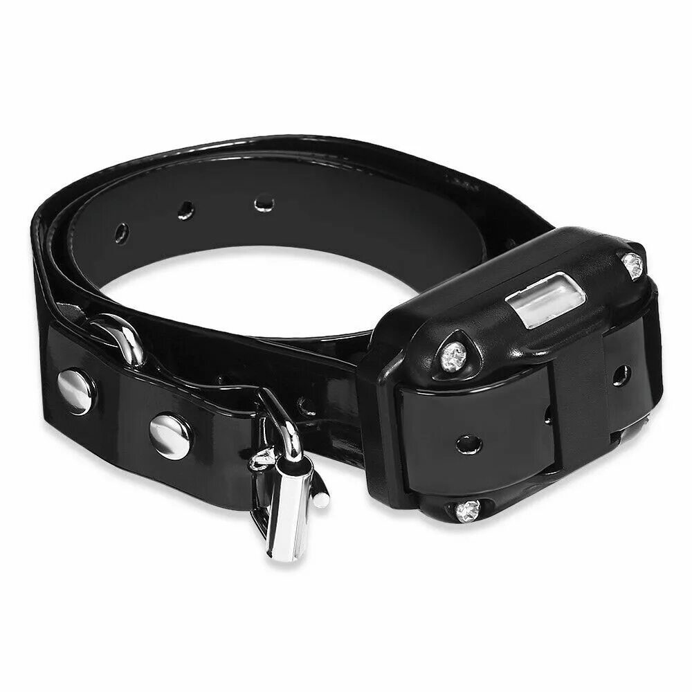 Читать ошейник. Электронный ошейник для собак dog training collar. ошейник электрошокер для собак po 258-s. электронный ошейник р-880. электрошоковый ошейник бдсм.