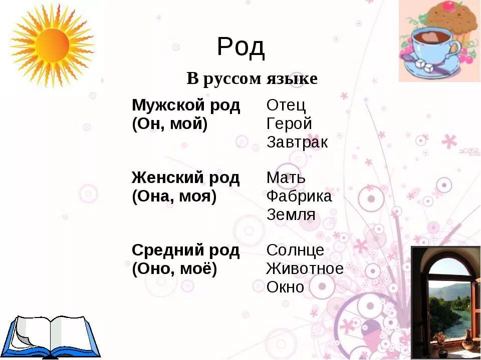 Какие слова относятся к мужскому роду. Ср род муж род жен род. Имена существительные общего рода. Мужской род папа. Род характеризуют следующие признаки.