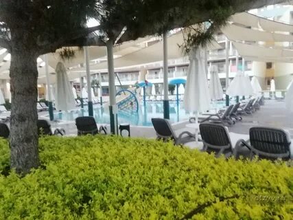 Акра соргун туи блю