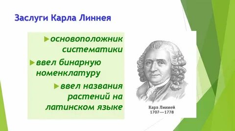 Становление систематика как науки связывают с именем