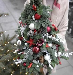 Виды елок на новый год